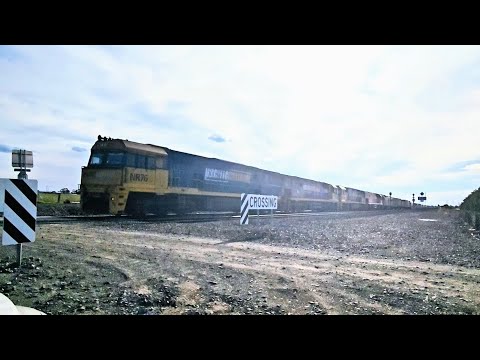 6PM6 PN up "Linfox Express #1" (4x NRs, G526), Perth to Melbourne, 1810, 2/12/24, Gheringhap VIC