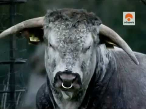 El poder del dinero Cap 5 de 6 - Hipotecados