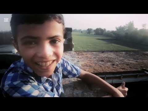 Abd ul hadi ny cat baby rescue kiya🙀🐱