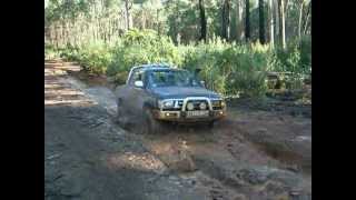 preview picture of video 'Downies Spur Track, Toolangi'