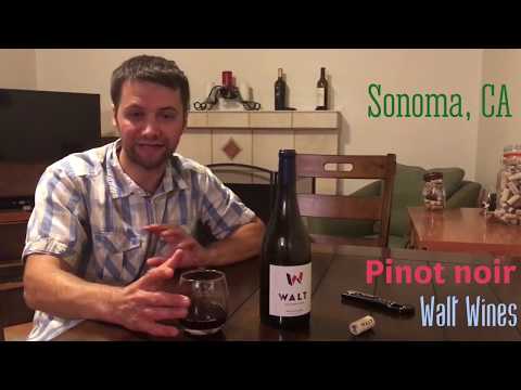 Wine in 60 Seconds Episode 211 - Walt Wines Pinot