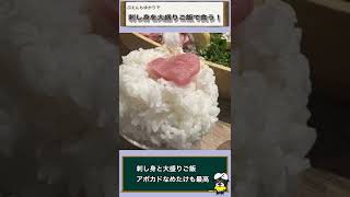 ぶえんもゆかりでデカ盛りごはんと刺し身が最高！#short #鹿児島グルメ
