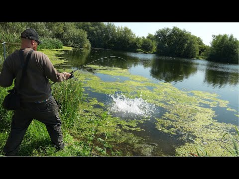 BIGGEST I'VE EVER CAUGHT! I Should've tried this sooner!