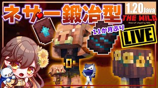 【マイクラ1.20】The Wildワールドに11か月ぶりにやっと帰ってきたLIVE♬【はろはにThe Wild】