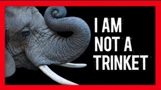 Stop Wildlife Crime: The Series - Elephants (Video 2) | WWF