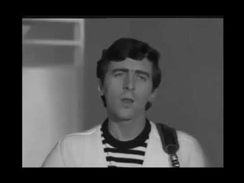 The Swinging Blue Jeans - Your No Good [ Remastered Stereo ]