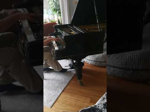 Fortepian Karl Kutschera, Wien (1890)