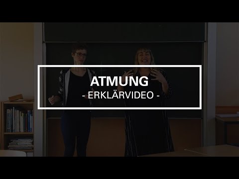 Atmung als Grundlage für eine gesunde Stimme | Erklärvideo