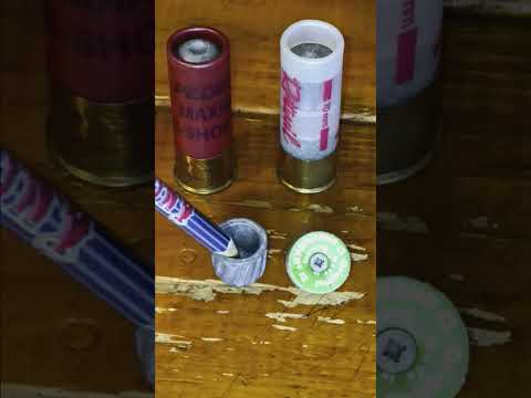 Best shotgun slug for Bear defense