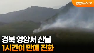 경북 영양서 산불…1시간여 만에 진화 / 연합뉴스TV (YonhapnewsTV)