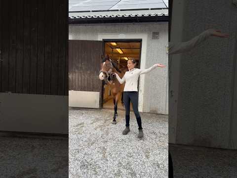 Walla det är Miami ❤️ #shortsfeed #shortsviral #shorts #humor