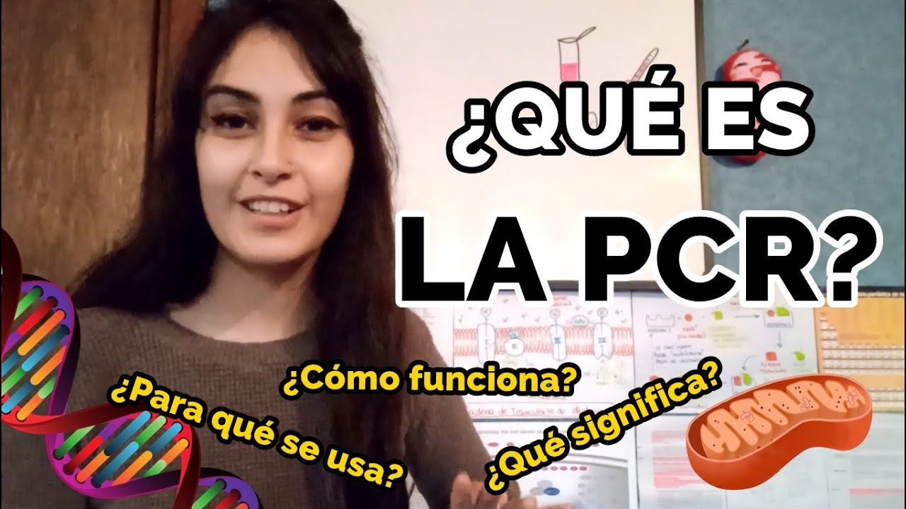 ¿Qué es una PCR? ¿Para qué sirve?
