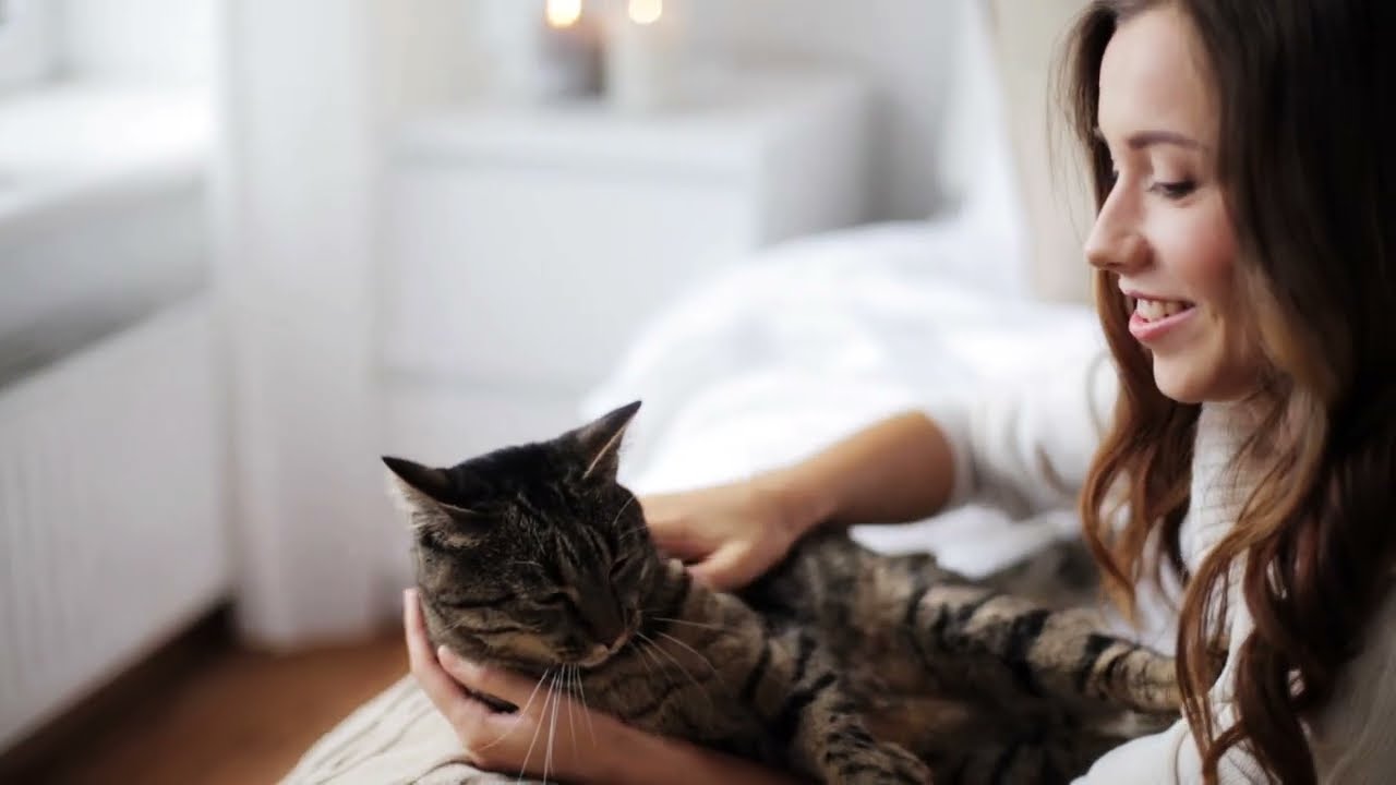 Basic Cat Care | Vet Tips with Dr. Primavera