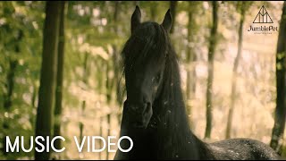 I'm Falling In Love With You (Official Music Video)