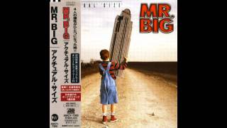 Mr. Big - How Did I Give Myself Away