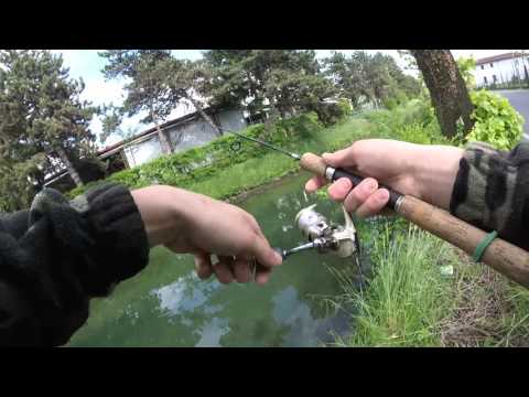 Pesca spinning al cavedano in canale|spinning for chubs