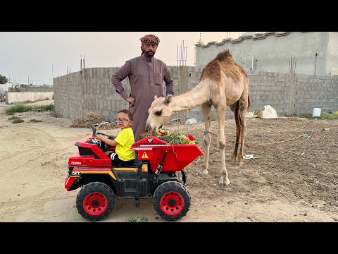 حمودي يجيب أكل للجمل في السيارة الجديدة 2027😢🐫#سيارات_اطفال 