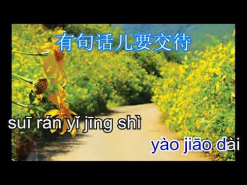 Lu bian de ye hua bu yao cai - 路邊的野花不要採 - karaoke