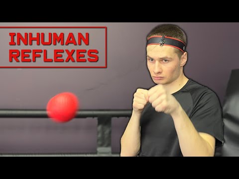 Boxing Reflex Ball Training: From 0 to 100
