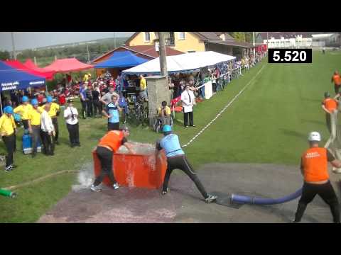 Tvrdonice v Bořeticích 2014