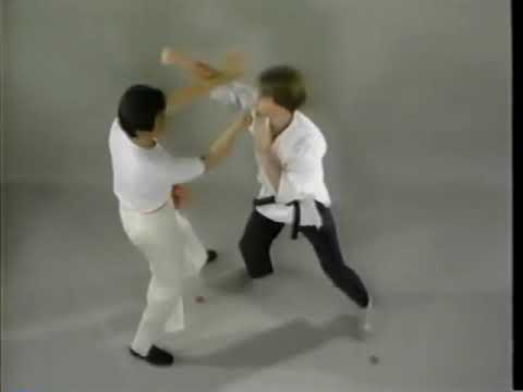 William Cheung Lineage Wing Chun Way Vol  1 - TWC | HHSMA