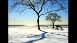 Agalloch - ....And The Great Cold Death Of The Earth