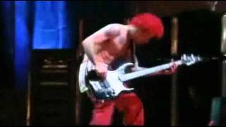 Red Hot Chili Peppers Budokan 2000 - Organic Anti-Beat Box Band