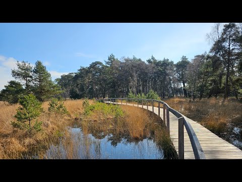 Wandern im Diersfordter Wald und See , Wesel