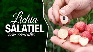 Miniatura do vídeo