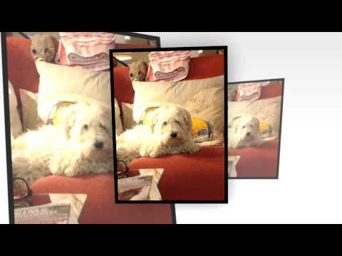 Juna Lidia Jada by Jada Moon