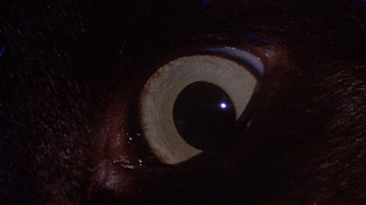 Keith Emerson - Mater Tenebrarum - Inferno - YouTube