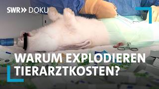 Tierisch teuer - Was hinter den hohen Tierarztkosten steckt | SWR Doku