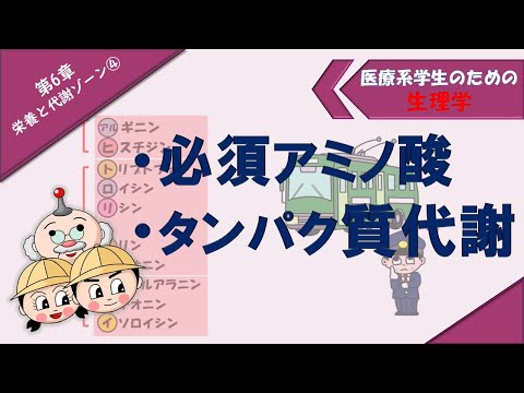 猫の11種類の必須アミノ酸