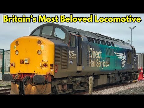 Class 37: The UK's Most Beloved Diesel Locomotive #class37 #locomotive #thrash #fyp