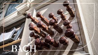 Bach - Wo soll ich fliehen hin BWV 694 - Van Doeselaar | Netherlands Bach Society