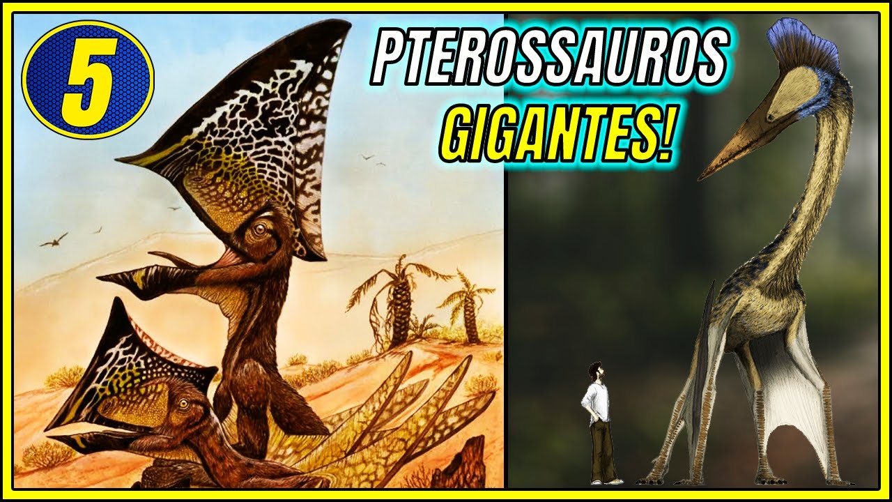PTEROSSAUROS: EVOLUÇÃO dos AZDARCÓIDES do CRETÁCEO | ESPECIAL PTEROSSAUROS #5