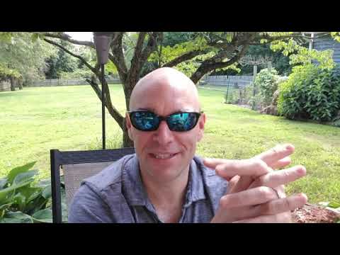 Sat Chat: Ireland, Peterson, A new Radice, books and more...