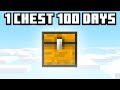 100 Days but the World is a Single Chest