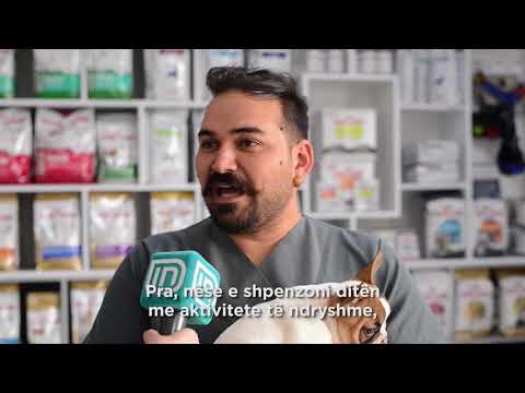 Emre dhe Konet në Life is Better with Friends 28/02/2018 | IN TV Albania