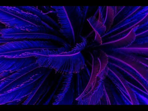 Zero Dark Hundred - Douglas Holmquist feat. Susanna Lundgren (Lyrics)