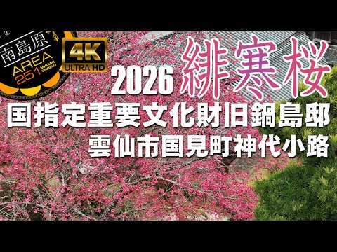 緋寒桜｜重要文化財旧鍋島邸 緋寒桜2026｜神代小路｜雲仙市国見町
