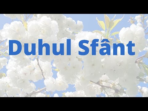 Duhul Sfânt (Interpretarea - Corul Pro Deum Arad)