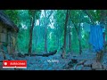 Tiger Attack Tamil Movie