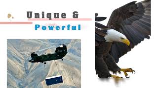 Tribute to Dave Douglas and the Chinook Helicopter