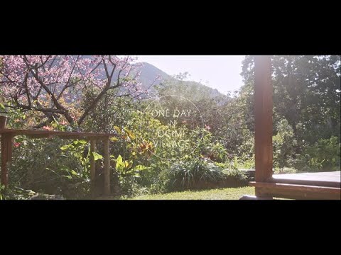 ONE DAY IN OGIMI VILLAGE