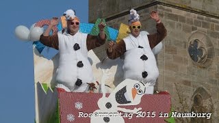 preview picture of video 'Rosenmontagszug 2015 in Naumburg, Bilderserie von tubehorst1'