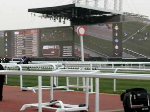 Joy and Fun wins the Al Quoz Sprint