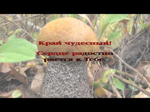 275 Край чудесный