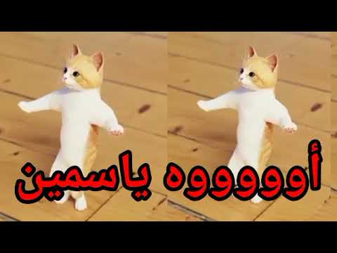 #اغنية#باسم#ياسمين#الحلوة#ياسمين#السعودية#الكويت#تركيا#العراق#قطرط#لبحرين#الجزائر#جده#دبي#الرياض