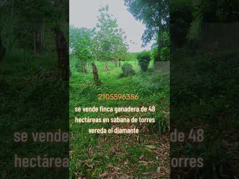 🐄🌿 ¡SE VENDE HERMOSA FINCA GANADERA! 🌿🐄📍Ubicación: Vereda El Diamante, municipio de Sabana de Torres